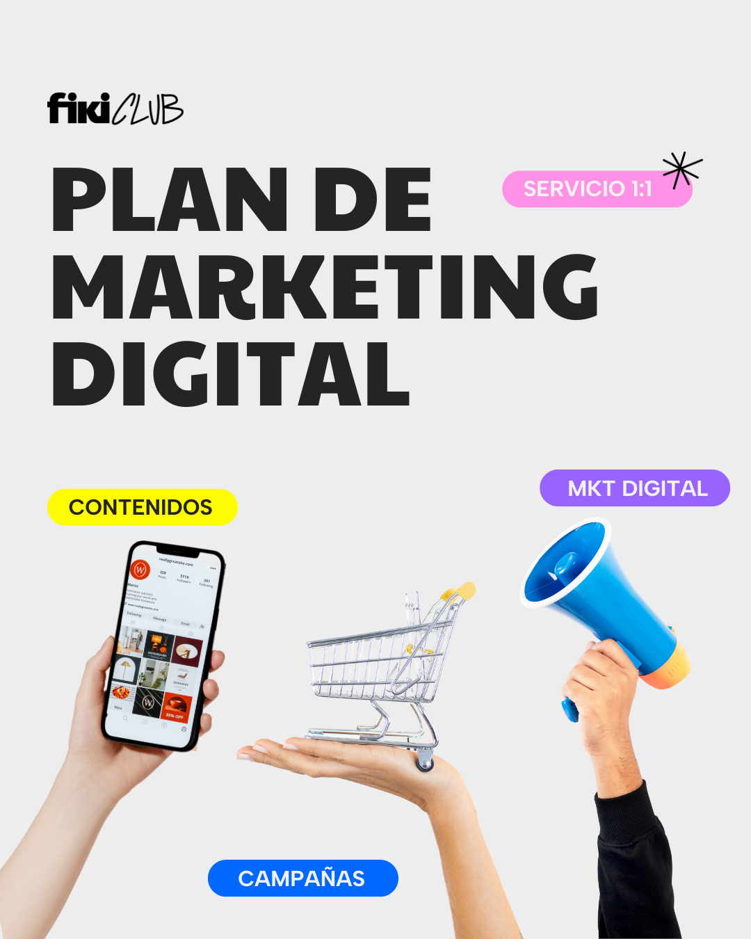 NIPAF DISEÑO LIBRO